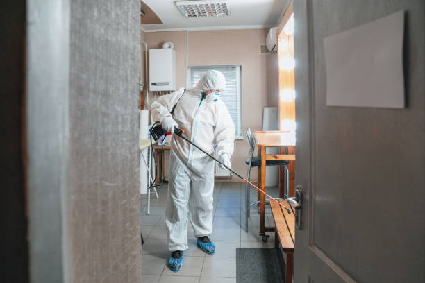 Best Emergency Mold Remediation  in Lodi, CA