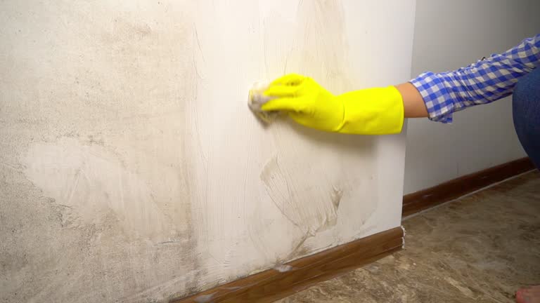 Biohazard Mold Removal in Lodi, CA